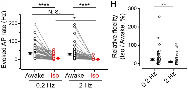 cmsfu FY2019 Annual Report 11
