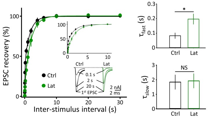 cmsfu FY2019 Annual Report 5