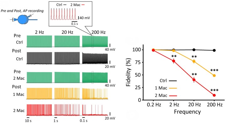 cmsfu FY2019 Annual Report 9