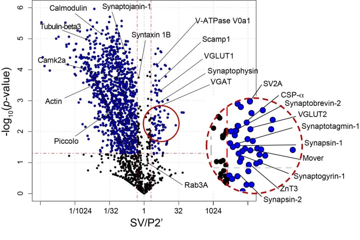 cmsfu FY2020 Annual Report 5