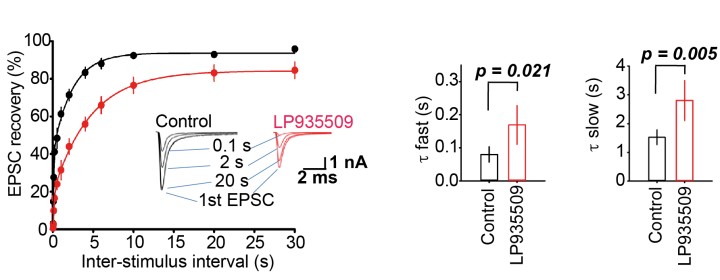 cmsfu FY2020 Annual Report 8