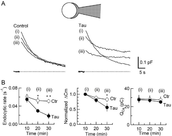 cmsfu FY2021 Annual Report 4