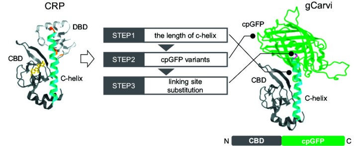 cmsfu FY2022 Annual Report 4
