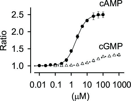 cmsfu FY2022 Annual Report 6
