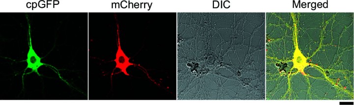 cmsfu FY2022 Annual Report 7