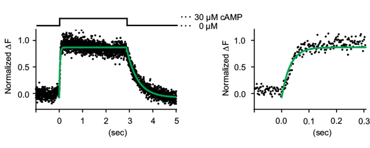 cmsfu FY2022 Annual Report 5