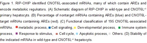 csu FY2019 Annual Report 3.1 Figure 1 Caption