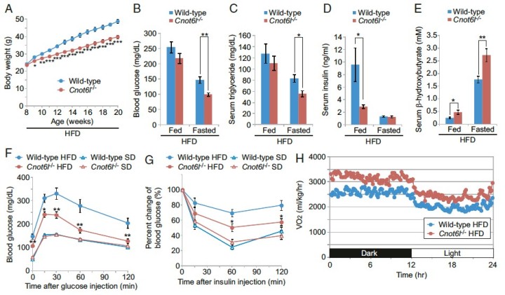 csu FY2019 Annual Report 3.1 Figure 3