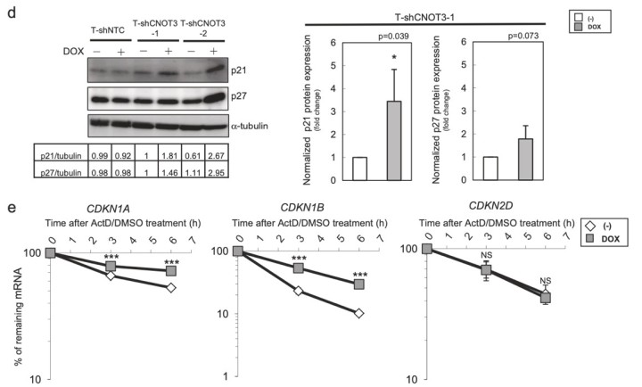 csu FY2019 Annual Report 3.2 Figure 3-2