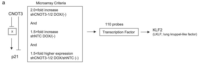 csu FY2019 Annual Report 3.2 Figure 4-1