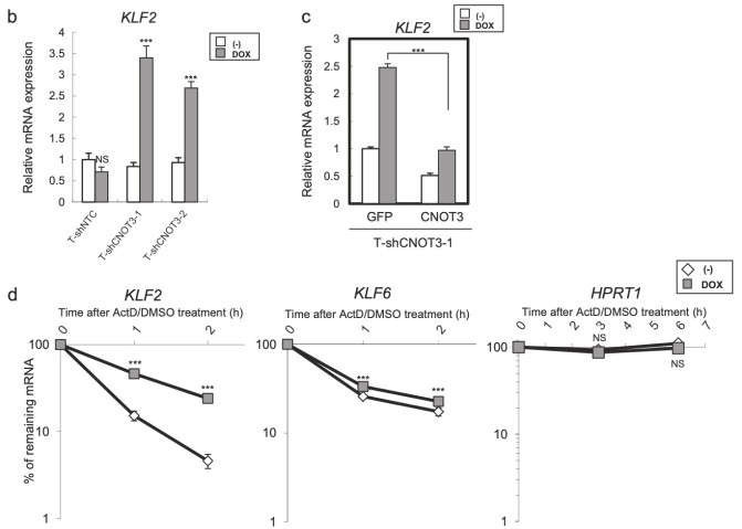 csu FY2019 Annual Report 3.2 Figure 4-2