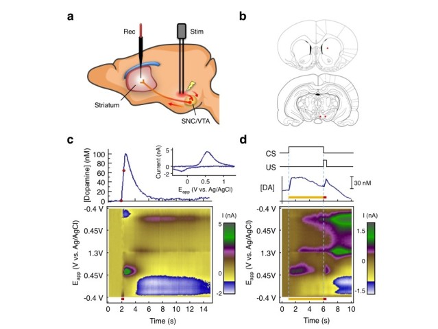 nru FY2011 Annual Report 3