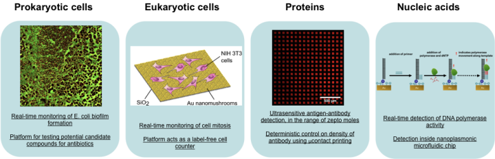 mbnu Biotechnology 02