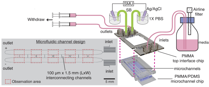 mbnu Biotechnology 04