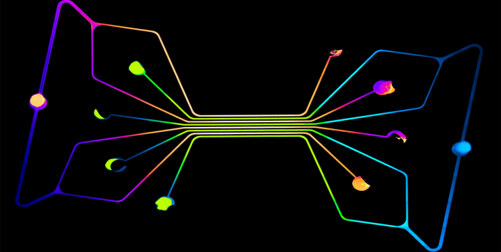 mbnu Biotechnology 05