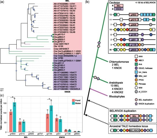 mgu FY2019 Annual Report 5.2 fig2