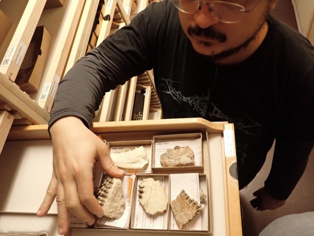 mmu FY2022 Annual Report Figure 1