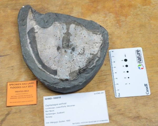 mmu FY2022 Annual Report Figure 4