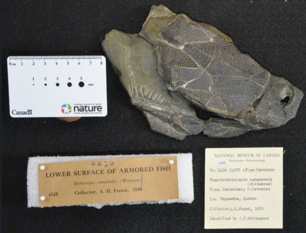 mmu FY2022 Annual Report Figure 5