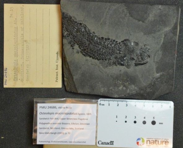 mmu FY2022 Annual Report Figure 6