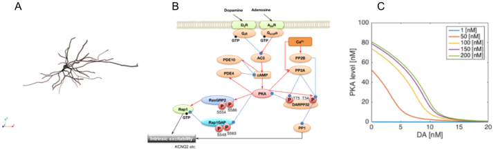 ncu Annual Reports FY2015 6