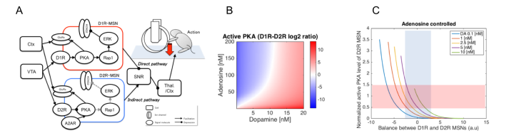 ncu Annual Reports FY2015 7