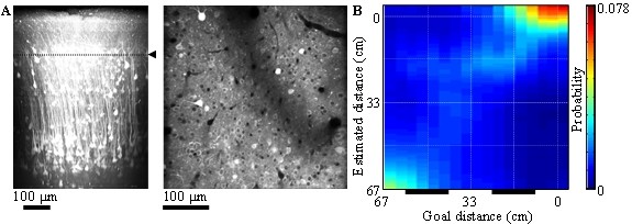 ncu Annual Reports FY2015 8