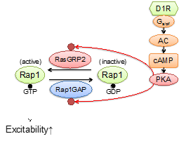 ncu Annual Reports FY2015 5