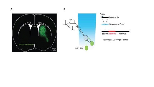 nru FY2020 Annual Report 3