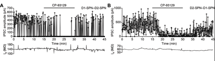 nru FY2020 Annual Report 4