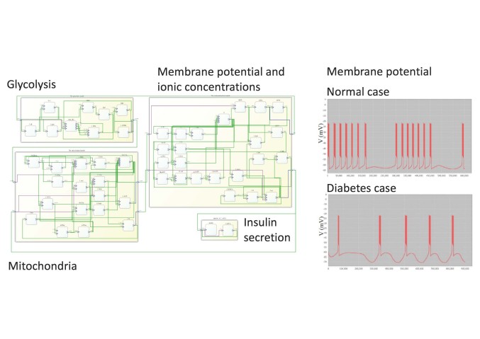Annual Report 2015 image 02