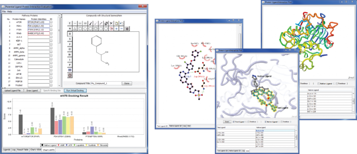 obu FY2011 Annual Report 12