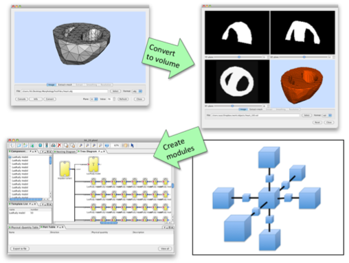 obu FY2012 Annual Report 6