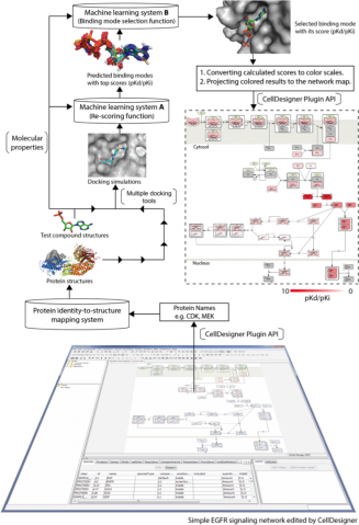 obu FY2013 Annual Report 7