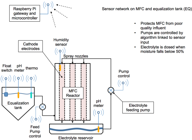 obu FY2019 Annual Report 8
