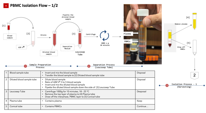 obu FY2020 Annual Report 10
