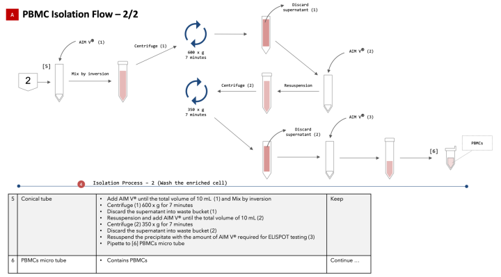 obu FY2020 Annual Report 11