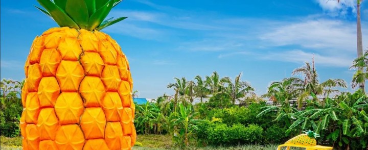 qsu Former Postdocs 01