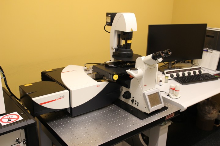 Leica TCS SP8 STED3X FLIM 