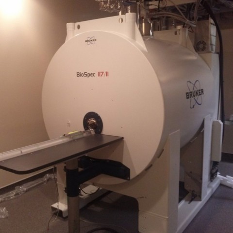 Bruker BioSpec 117/11