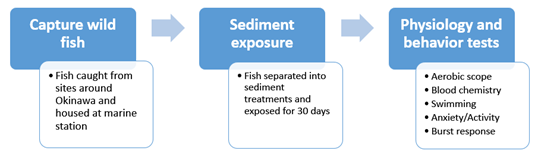 experimental process sediment
