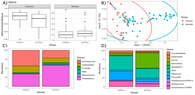 Analysis of the intestinal and gastric microbiome of the bluefin tuna (Thunnus orientalis). (a) Alpha-Diversity: Evenness and Richness, (b) Beta-Diversity: nom-metric multidimensional scaling analysis, (c) community composition at the phylum level, (d) community composition at the genus level.
