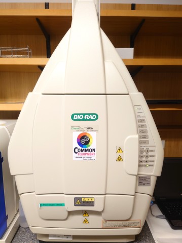 BioRad ChemiDoc XRS
