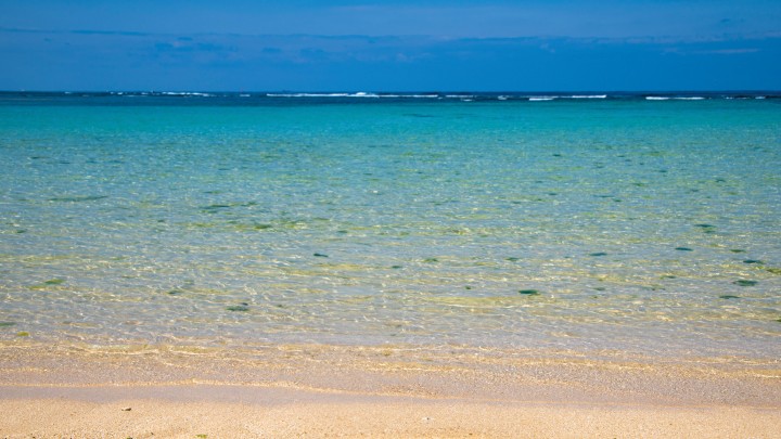 Test photo for coi-next hero