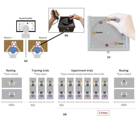 Perceptual Crossing Experiment Outline