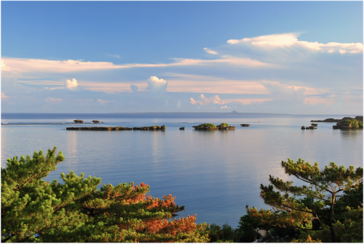 From Quantum Materials to Quantum Information: Symposium on Trans-Scale Quantum Science and Quantum Materials Synthesis (QMQI2024)