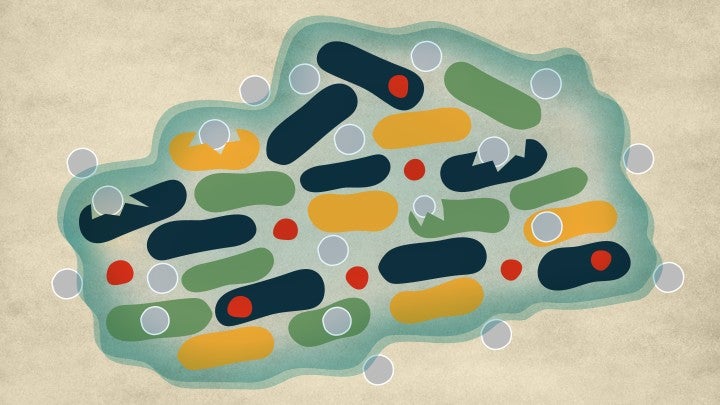 MRS Header NanoparticlesPR | Okinawa Institute of Science and ...