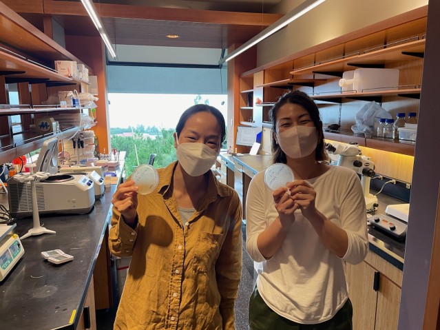 The success of the first cloning photo of Midori and Orie