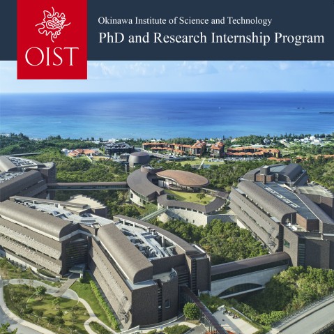 PhD and Research Internship Program cover