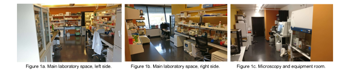 Lab space | Okinawa Institute of Science and Technology OIST
